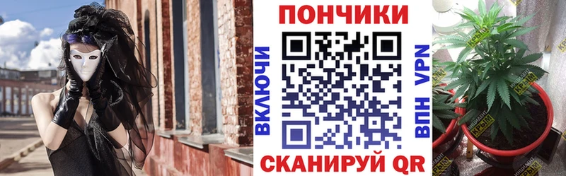 Купить закладку COCAIN  МЕФ  ГАШ  Верхняя Пышма