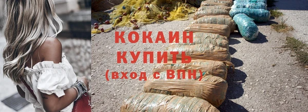 твердый Козловка