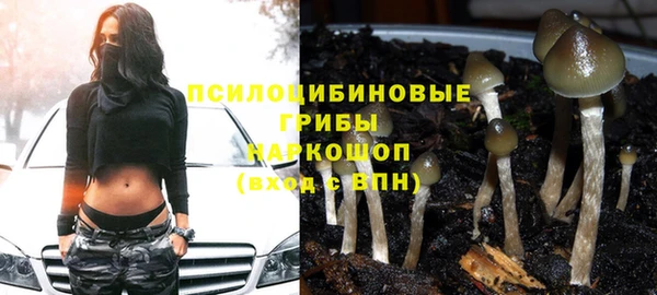 гашик Киреевск