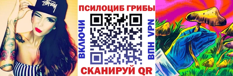 Псилоцибиновые грибы Psilocybine cubensis  Купить закладки  Верхняя Пышма 